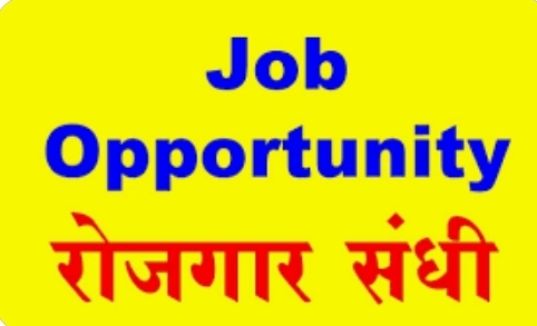 To get employment for unemployed women | रोजगार मेळावा 1100 पद